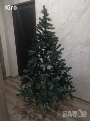 Коледна елха 180 см