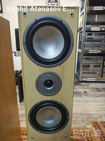 Magnat Monitor 880 Двулентови Тонколони, снимка 9 - Тонколони - 53443746