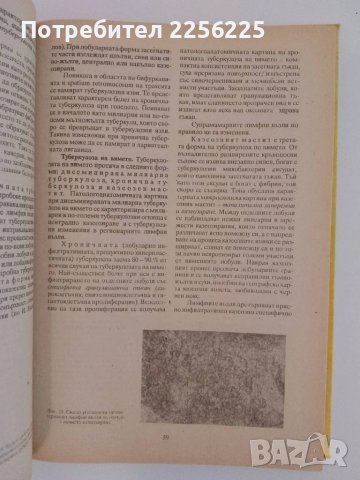 Ветеринарно - санитарна експертиза на хранителните продукти от животински произход ( 1ва част) , снимка 8 - Специализирана литература - 51213889