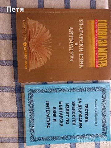 Помагала за ДЗИ