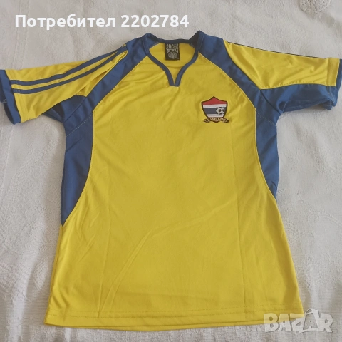 Футболни тениски национални отбори Швеция,Иран,Ямайка,Тайланд,Камерун,Суринам,Босна и Херцеговина, снимка 9 - Фен артикули - 53071737