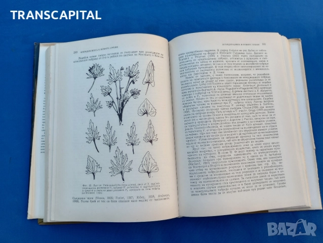 Изменчивост и еволюция на растенията , снимка 8 - Специализирана литература - 51794363