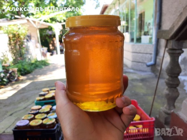 Натурален пчелен мед, снимка 1