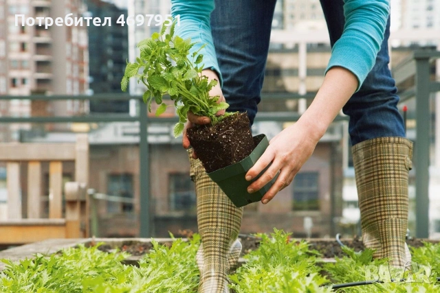 Търся човек подръжка за затворен комплекс 