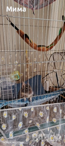 клетка за гризачи, снимка 4 - За гризачи - 53704859