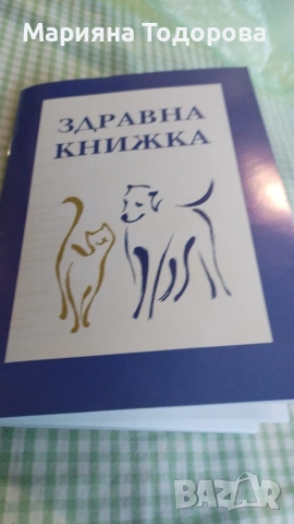 Пинчер, снимка 18 - Пинчер - 53447224