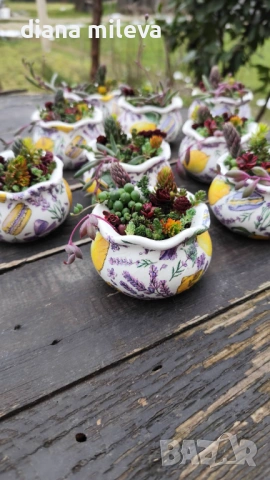 Гърнета аранжирани със сукуленти!, снимка 15 - Декорация за дома - 53206137