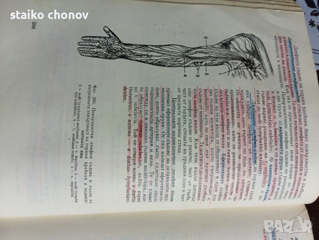 Анатомия на Човека, снимка 2 - Учебници, учебни тетрадки - 52518859