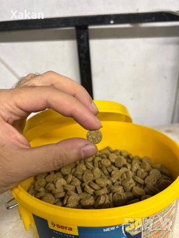 Sera O-NIPSTICKIES tablets, снимка 3 - Други - 52345397