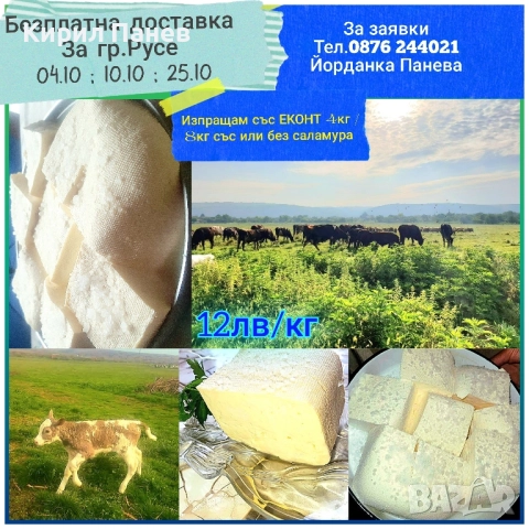 БИО домашно сирене , снимка 10 - Домашни продукти - 51935933