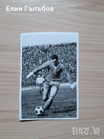 Снимки на футболисти на Ф.Д. Левски на хартиен носител, снимка 3 - Колекции - 53140518