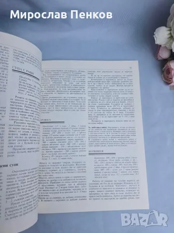 Книга, снимка 5 - Други - 48091905