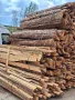 Чамови дърва за огрев , снимка 3