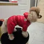 Зимен гащеризон Moncler, снимка 2