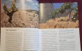 Wine Wisdom. A Complete Wine-Тasting Course, снимка 4