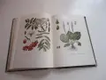 Книга Фитотерапия Лечение с Билки Йорданов 1966, снимка 8