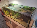 Три  Аквариума , снимка 8