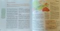 Здраве чрез природолечение. Домашни средства 2006 г. Рийдърс Дайджест, снимка 4