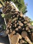 Продавам дърва за огрев, снимка 1 - Дърва за огрев - 42389081