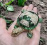 кутия за бижута луксозен сувенир костенурка жаба с камъни украса, снимка 1 - Други - 42080292