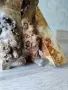 Уникална декоративна пластика / скулптура от туморна топола (кап) – ръчна изработка, снимка 9