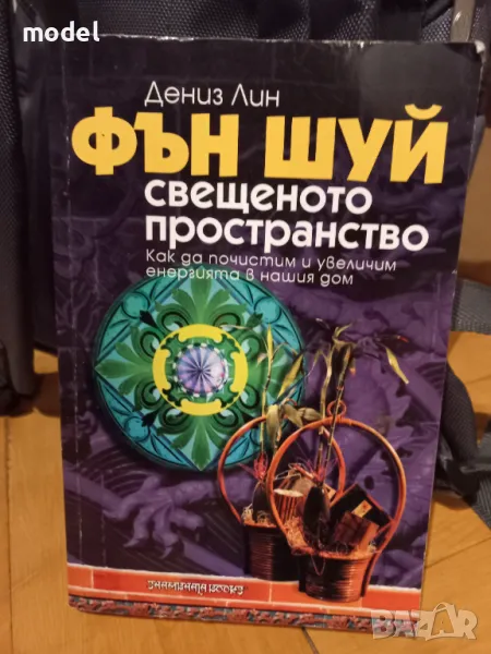 Фън Шуй: Свещеното пространство - Дениз Лин , снимка 1