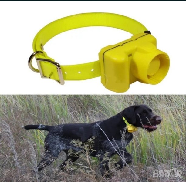 Бийпар (нашийник) за куче, снимка 1