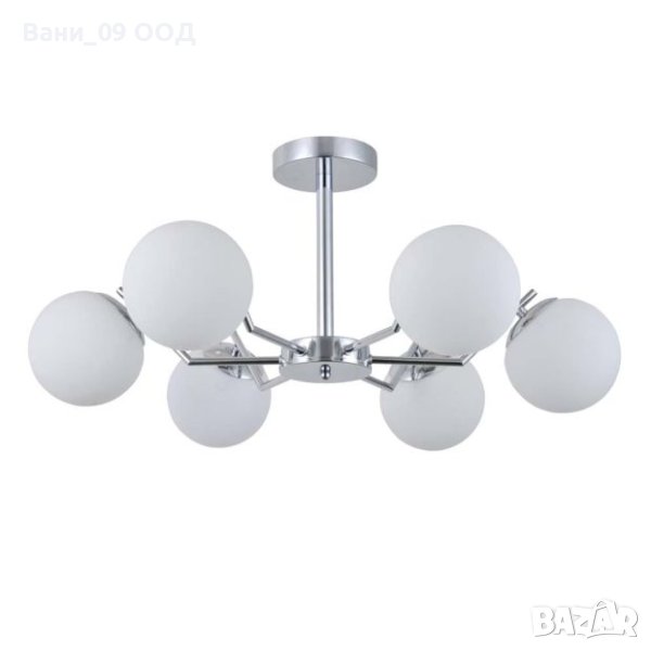 Красив полилей, снимка 1