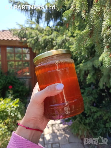 Планински пчелен мед - горски букет, снимка 1