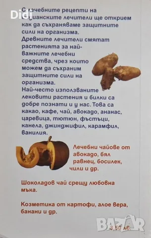 Силвия Шнайдер - Силата на индианската медицина, снимка 2 - Здраве, медицина и спорт - 56330610