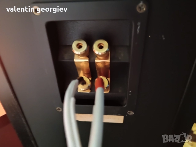 Dali 450 Red series, снимка 2 - Тонколони - 51579651