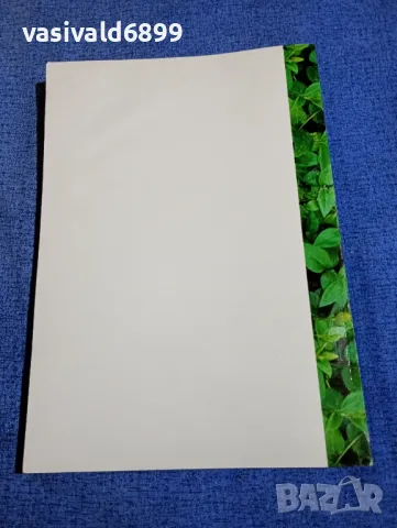 Социологически анализ 2002, снимка 3 - Специализирана литература - 49509258