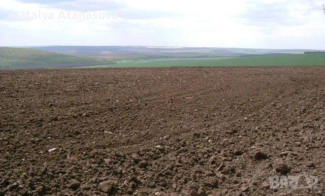 Парцел за продажба в Ведрина, Добрич, снимка 7 - Парцели - 53634666