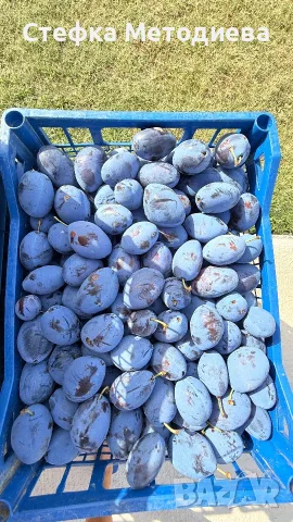 Домашни Сини сливи , снимка 5 - Домашни продукти - 55550850