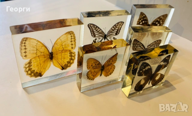 Пеперуди, снимка 3 - Колекции - 53656258