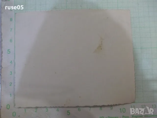 Снимка стара на група при излет, снимка 2 - Колекции - 47824605