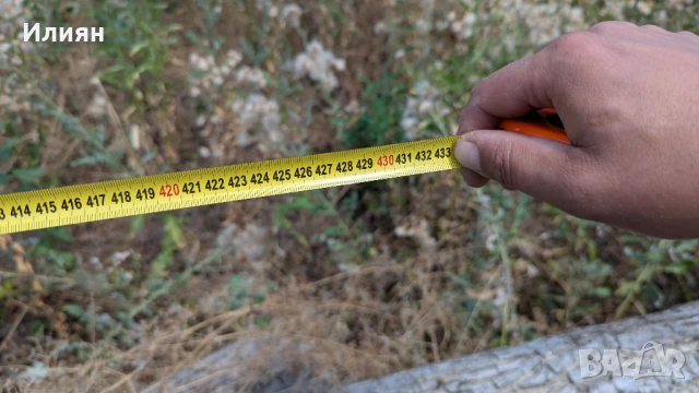 Орехово дърво 7 м + клони – с. Мерданя , снимка 7 - Строителни материали - 51240563