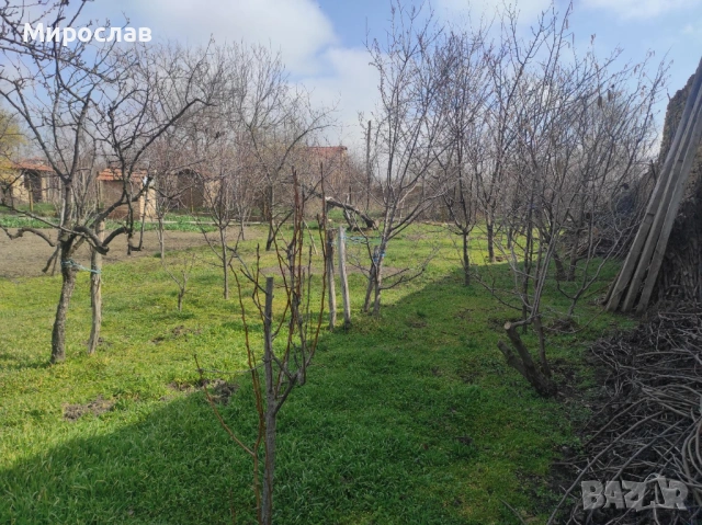 Къща в с. Водолей област В. Търново, снимка 4 - Къщи - 53848523