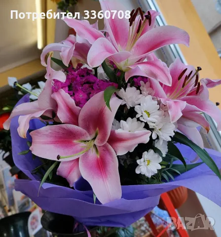 Доставка на цветя в София – florans.eu 🌸🚚, снимка 4 - Стайни растения - 49546698