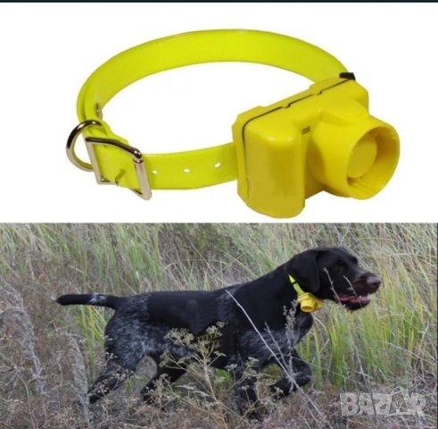 Бийпар (нашийник) за куче