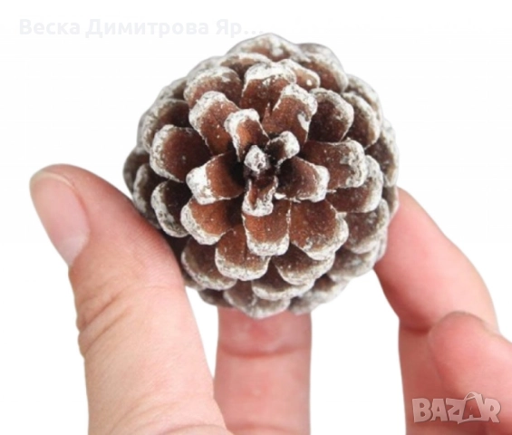 Комплект от 6 или 12 броя коледни шишарки, снимка 6 - Декорация за дома - 52301499