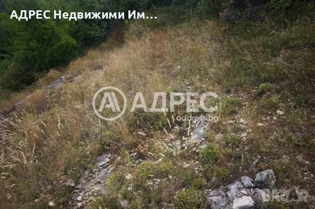 Парцел/Терен, продажба, Левочево, снимка 2 - Парцели - 55802880