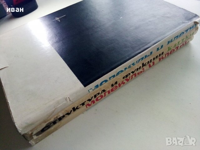 Молекулы и клетки - Сборник - 1966г. , снимка 7 - Специализирана литература - 39010775