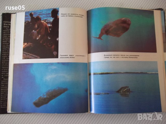 Книга "Китовете - Жак-Ив Кусто / Филип Диоле" - 192 стр., снимка 4 - Специализирана литература - 42599600
