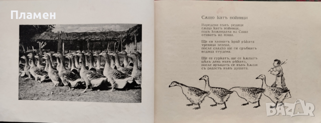 Отъ зайчето до щъркела Ценко Цветановъ, снимка 4 - Антикварни и старинни предмети - 44744826
