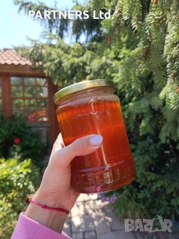 Планински пчелен мед - горски букет, снимка 1