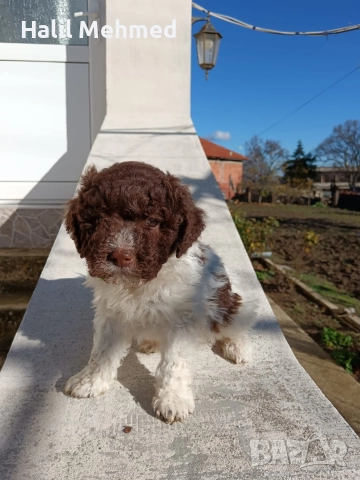 Лагото Романьоло, снимка 7 - Други - 52547291