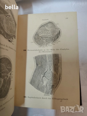 Антикварен медицински атлас по Анатомия (1875 г.) – Dr. Heitzmann 1875 год. , снимка 9 - Антикварни и старинни предмети - 53618907