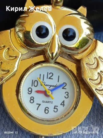 Красив часовник бижу висулка Бухал стилен дизайн 19483, снимка 2 - Други - 51092832