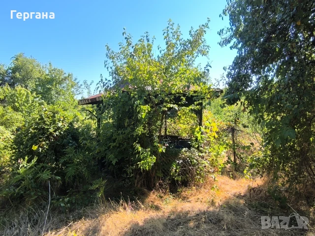 Продавам овощна градина в регулация 2.4 дка в село Тияновци, област Видин, снимка 2 - Земеделска земя - 51337893